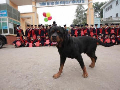 Ảnh bìa bài viết 752402