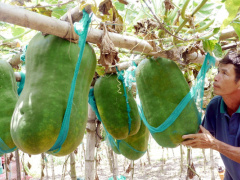 Ảnh bìa bài viết 752408