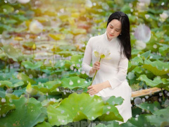 Ảnh bìa bài viết 752621