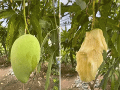 Ảnh bìa bài viết 752515
