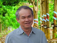 Ảnh bìa bài viết 753275
