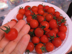 Ảnh bìa bài viết 753221