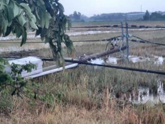 Ảnh bìa bài viết 753212