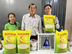 Ảnh bìa bài viết 753421