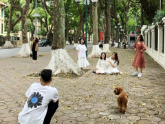 Ảnh bìa bài viết 753439