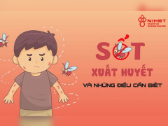 Ảnh bìa bài viết 753601
