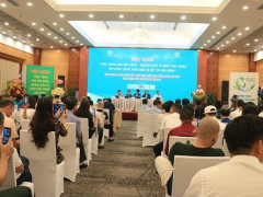 Ảnh bìa bài viết 754108