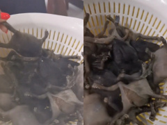 Ảnh bìa bài viết 754056