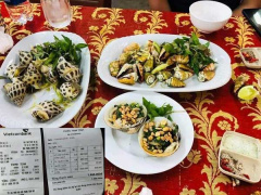 Ảnh bìa bài viết 754188