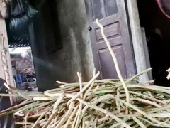 Ảnh bìa bài viết 754113