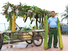 Ảnh bìa bài viết 754672