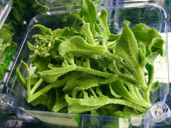 Ảnh bìa bài viết 754773