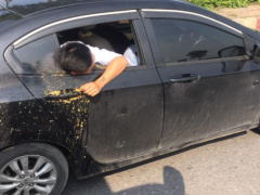 Ảnh bìa bài viết 755083