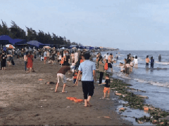 Ảnh bìa bài viết 755361