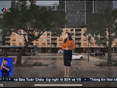 Ảnh bìa bài viết 755554