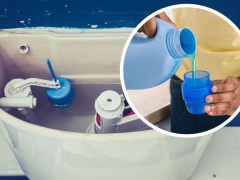 Ảnh bìa bài viết 756440