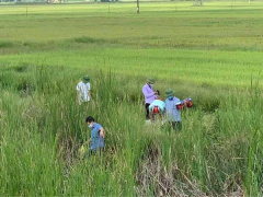 Ảnh bìa bài viết 757162