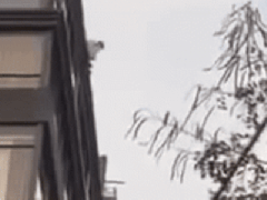 Ảnh bìa bài viết 757106