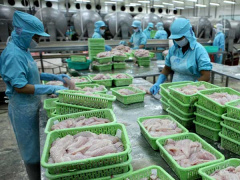 Ảnh bìa bài viết 757328