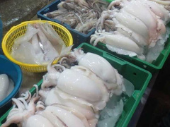 Ảnh bìa bài viết 758063