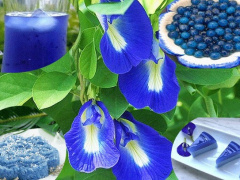 Ảnh bìa bài viết 758355