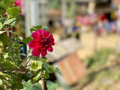 Ảnh bìa bài viết 758658