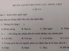 Ảnh bìa bài viết 759179