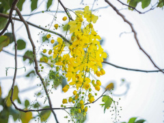 Ảnh bìa bài viết 759412