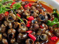 Ảnh bìa bài viết 759422