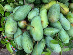 Ảnh bìa bài viết 759297