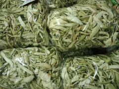 Ảnh bìa bài viết 759561