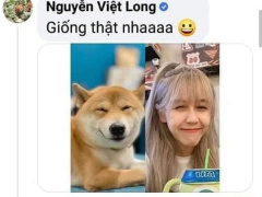 Ảnh bìa bài viết 762118