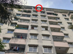 Ảnh bìa bài viết 762300