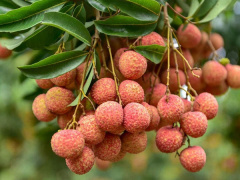 Ảnh bìa bài viết 762445