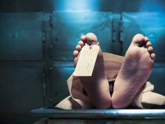 Ảnh bìa bài viết 762618