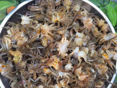 Ảnh bìa bài viết 762714