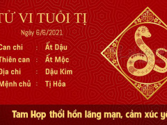 Ảnh bìa bài viết 762846
