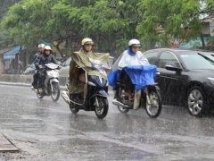 Ảnh bìa bài viết 762883