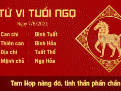 Ảnh bìa bài viết 763022