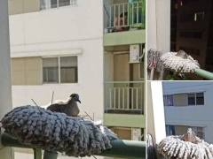 Ảnh bìa bài viết 763169