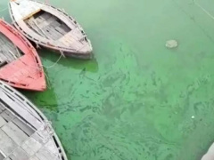 Ảnh bìa bài viết 763112