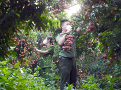 Ảnh bìa bài viết 763069