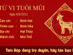 Ảnh bìa bài viết 763287