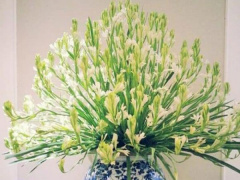 Ảnh bìa bài viết 763676