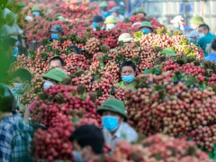 Ảnh bìa bài viết 763638