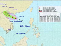 Ảnh bìa bài viết 764221