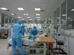 Ảnh bìa bài viết 764333