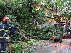 Ảnh bìa bài viết 764387