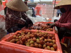 Ảnh bìa bài viết 764711