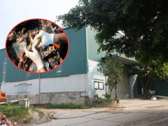 Ảnh bìa bài viết 765369